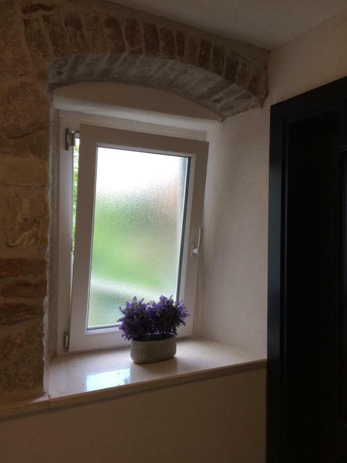 Morus Alba Apartmán