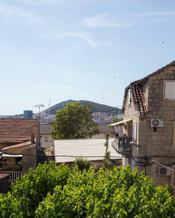 Morus Alba Appartamento